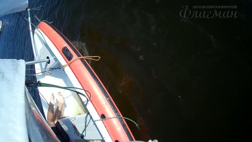 2020_0806_170027_016